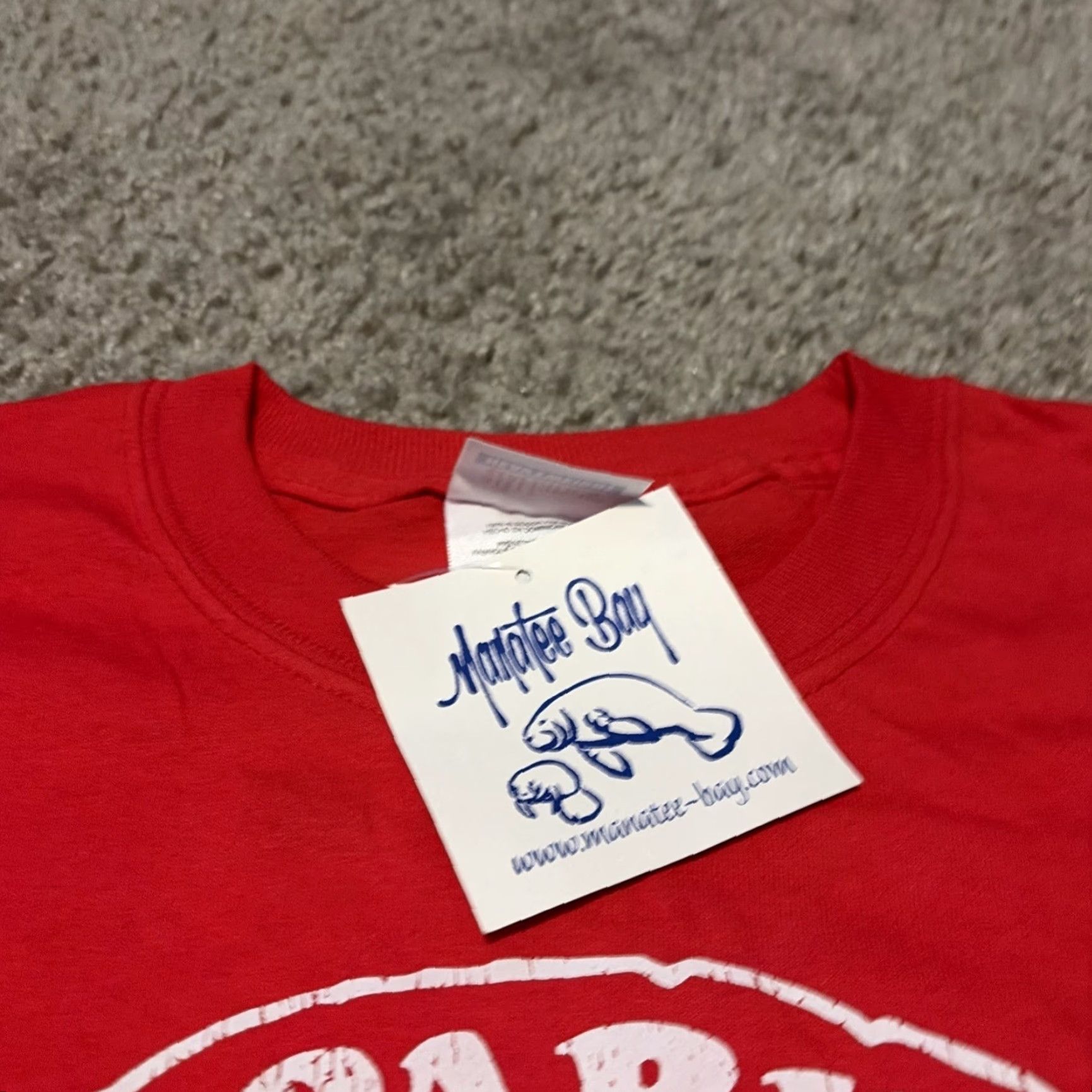 Hanes VINTAGE Gasparilla Pirate Festival Tampa Florida Hanes T-Shirt L Red Mens Vintage Y2K Gasparilla Pirate Festival Tampa Florida New With Tags Size US L / EU 52-54 / 3 - 4 Thumbnail