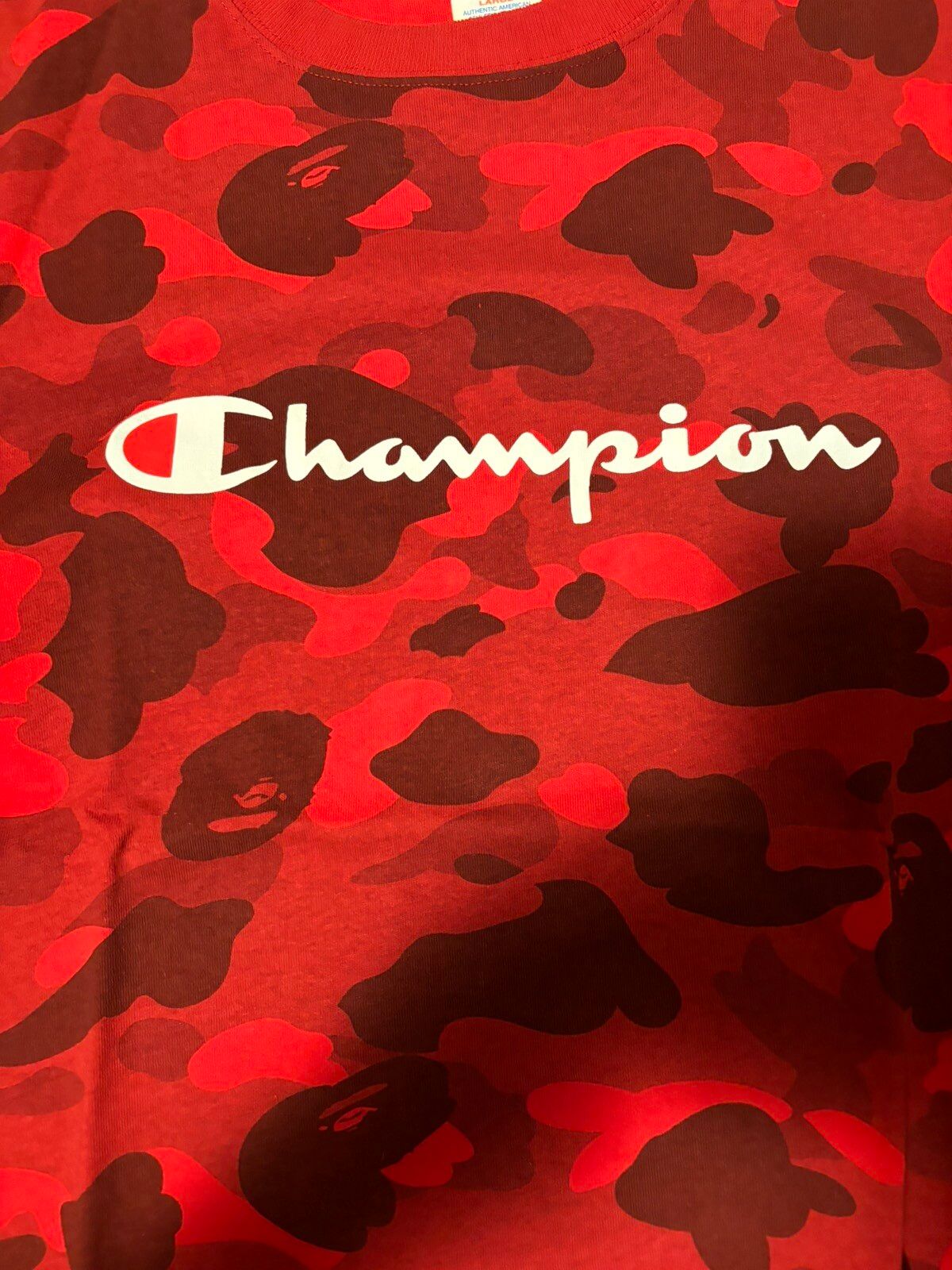 Bape Bape x Champion Color Camo Tee Size US L / EU 52-54 / 3 - 3 Thumbnail