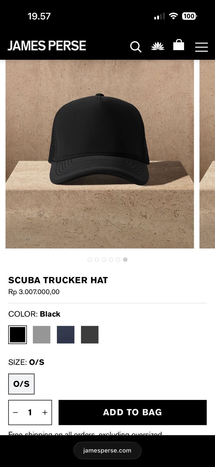 James Perse James Perse Scuba Trucker Hat Size ONE SIZE - 2 Thumbnail