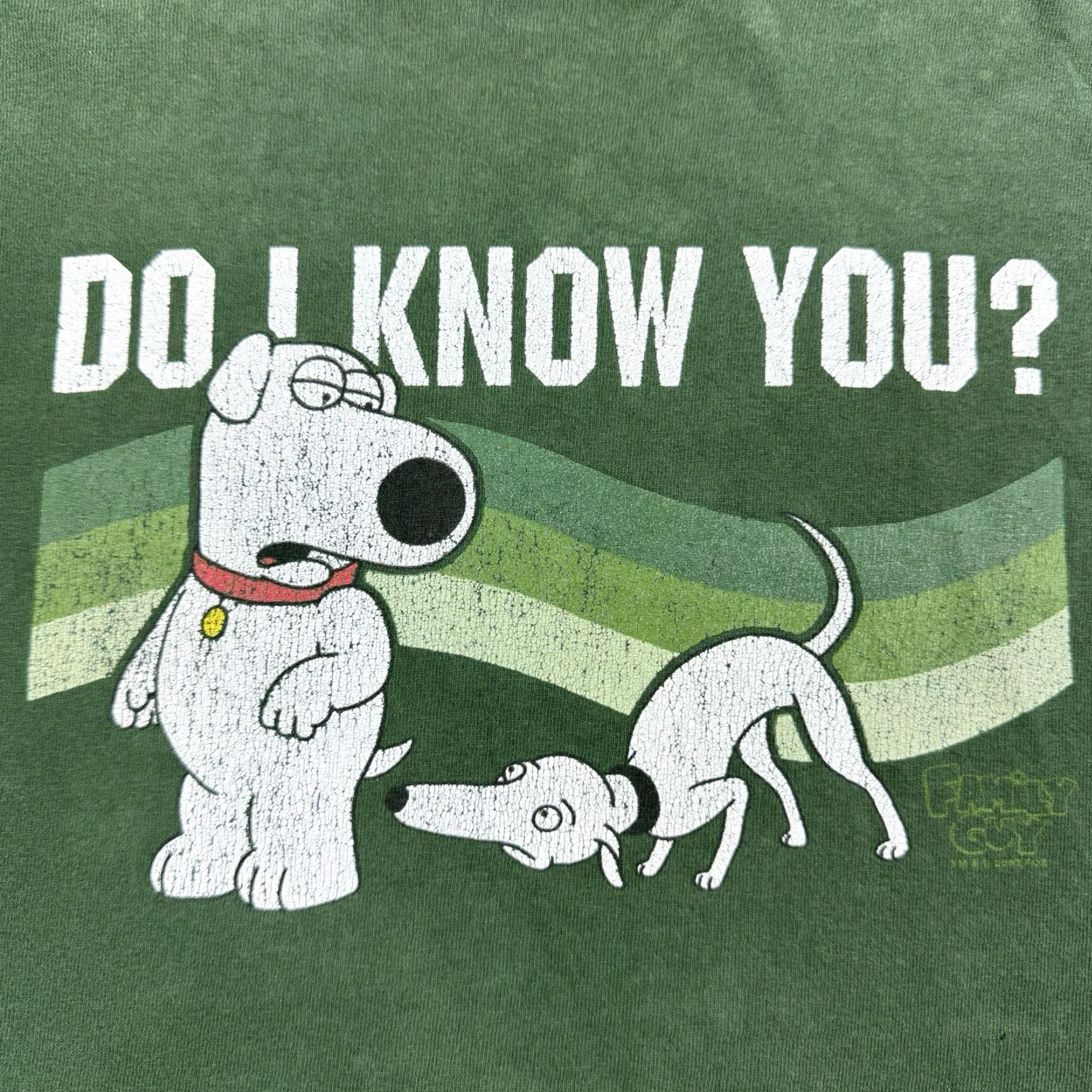 Delta VINTAGE Delta Family Guy T-Shirt Adult XL Green Faded Brian Funny Cartoon Y2K Thrashed Men Size US XL / EU 56 / 4 - 2 Thumbnail