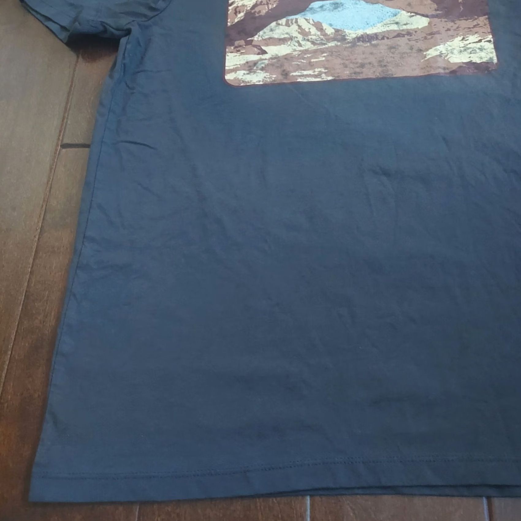 Vintage Goodfellow Arches Landscape Graphic T-Shirt Gray M Mens White? Size US M / EU 48-50 / 2 - 2 Thumbnail
