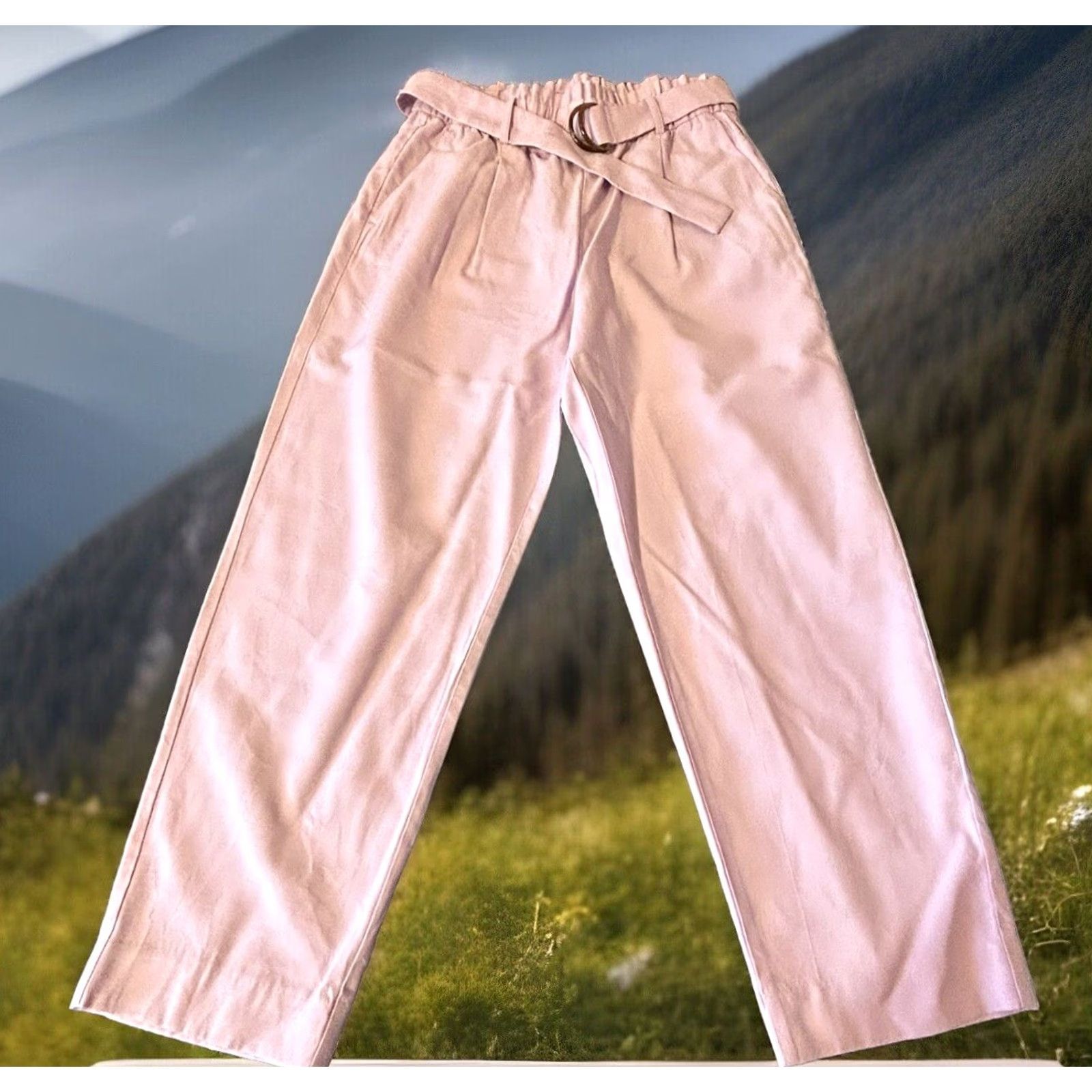 Ann Taylor VINTAGE? No. Ann Taylor Pants Women Medium Light Purple Pull On Elastic Waist Belted 30x26 Size 32" / US 10 / IT 46 - 4 Thumbnail
