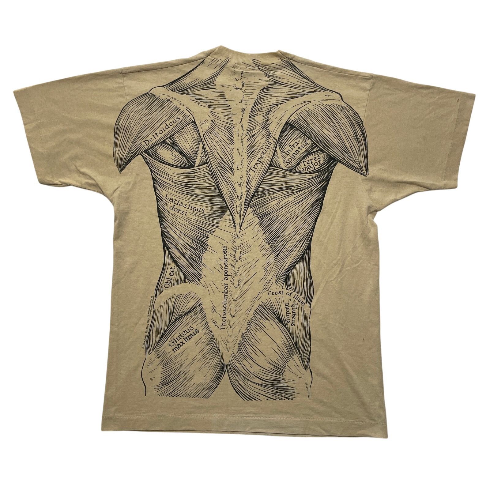 Vintage VTG 80's 1977 Leslie Arwin Muscle Anatomy Beige T-Shirt L Size US L / EU 52-54 / 3 - 4 Thumbnail