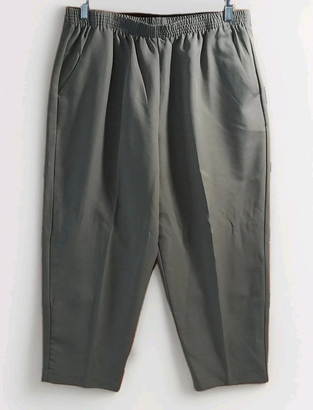 Other Briggs New York Womens 16P Petite Brown Dress Pants Size 38" / US 16 / IT 52 - 1 Thumbnail