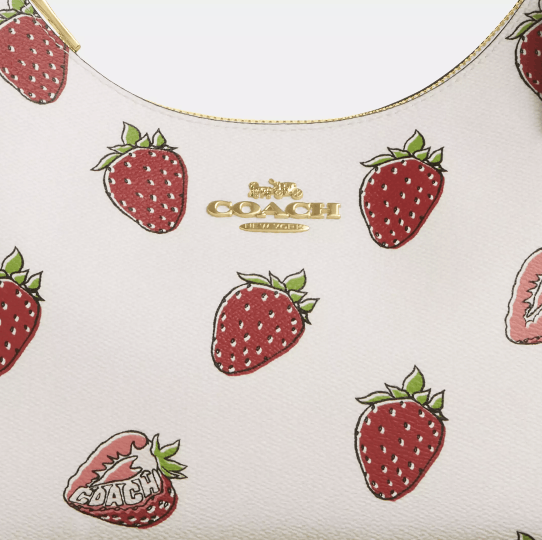 Coach NWT COACH Teri Hobo Bag With Strawberry Print CAL67 Size ONE SIZE - 14 Thumbnail