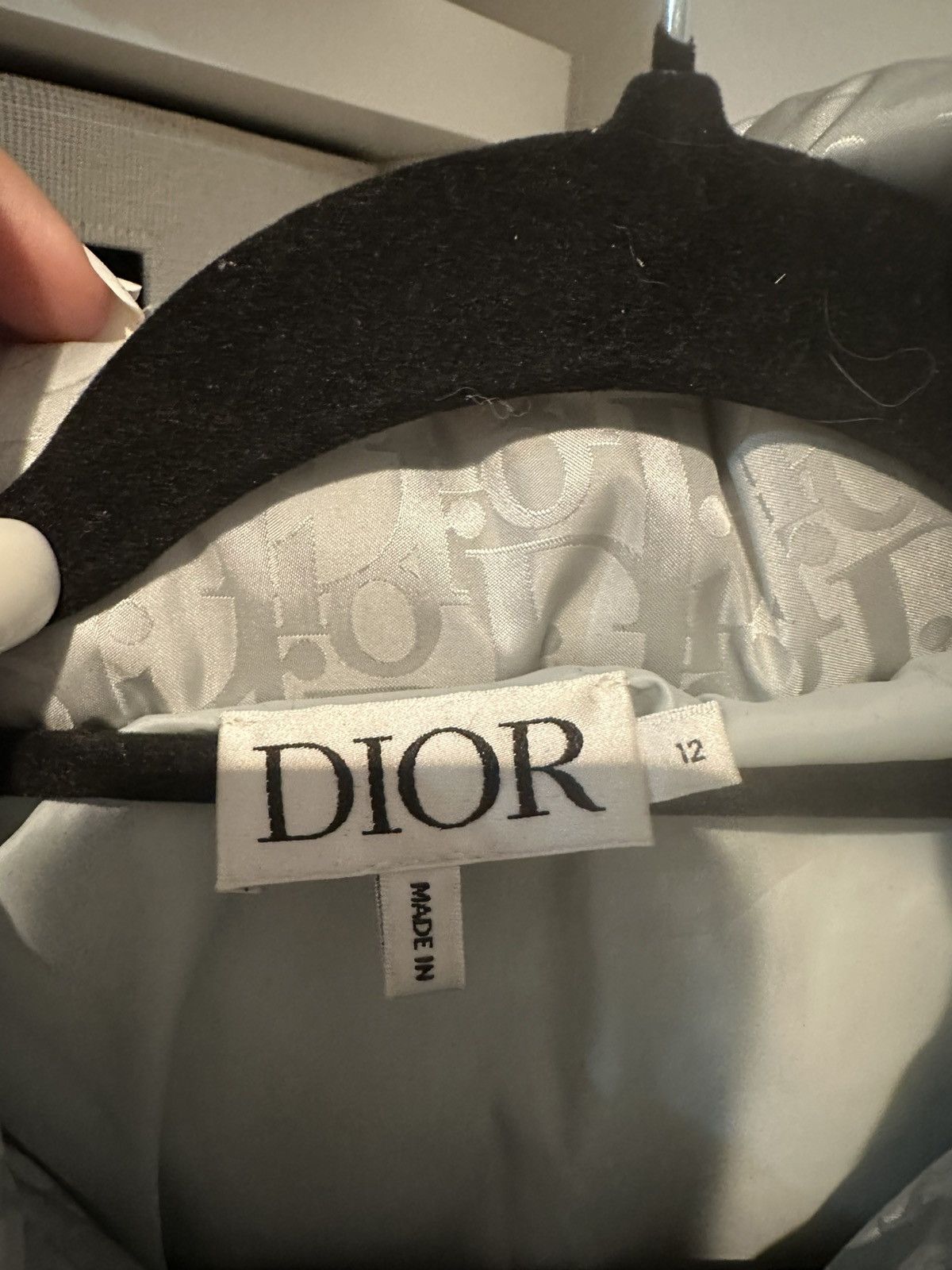 Dior Dior Oblique Hooded Down Jacket Silver-Tone Size US XXS / EU 40 - 6 Thumbnail