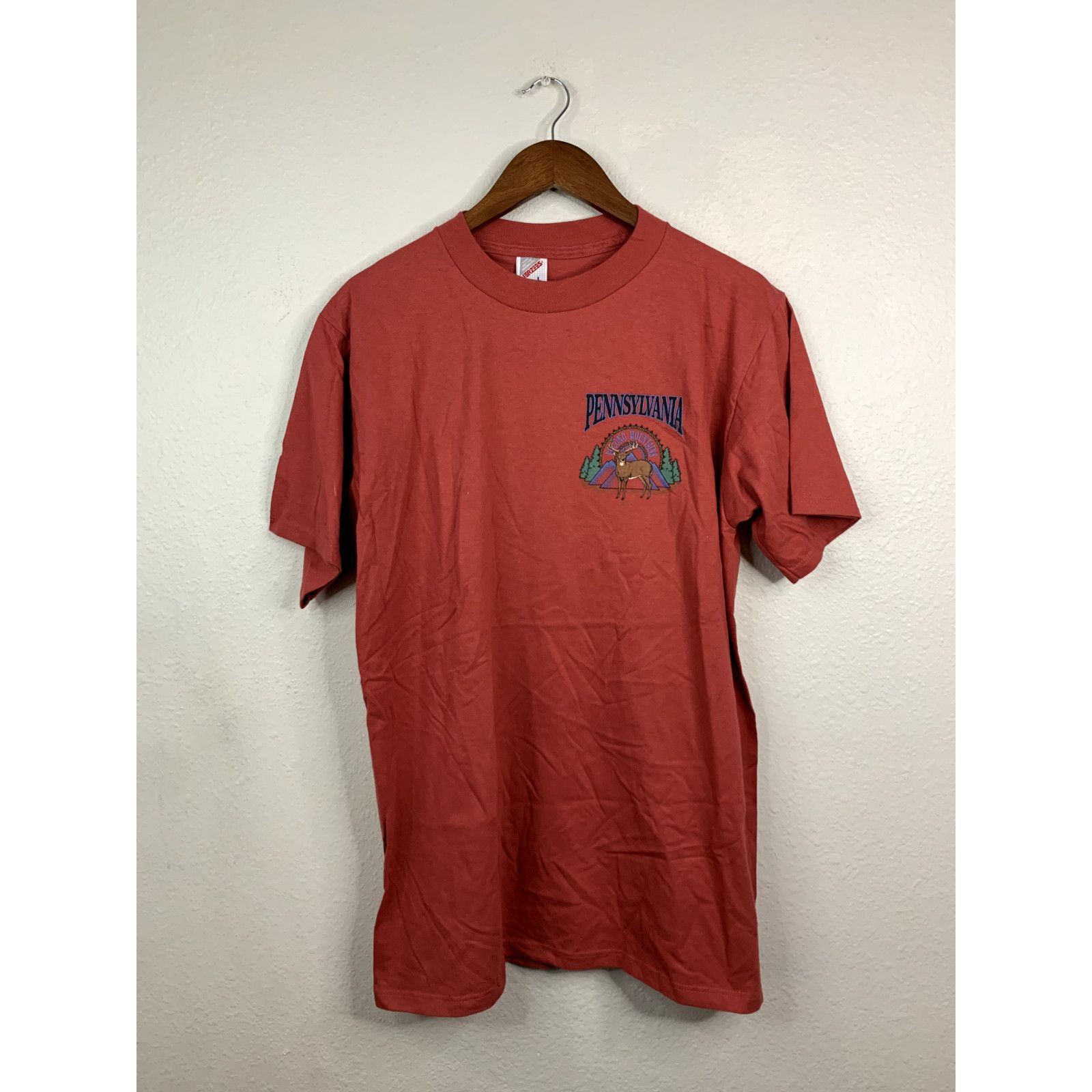 Jerzees Vintage Pennsylvania Pocono Mountains Shirt Red Tee 1995 L Size US L / EU 52-54 / 3 - 1 Thumbnail