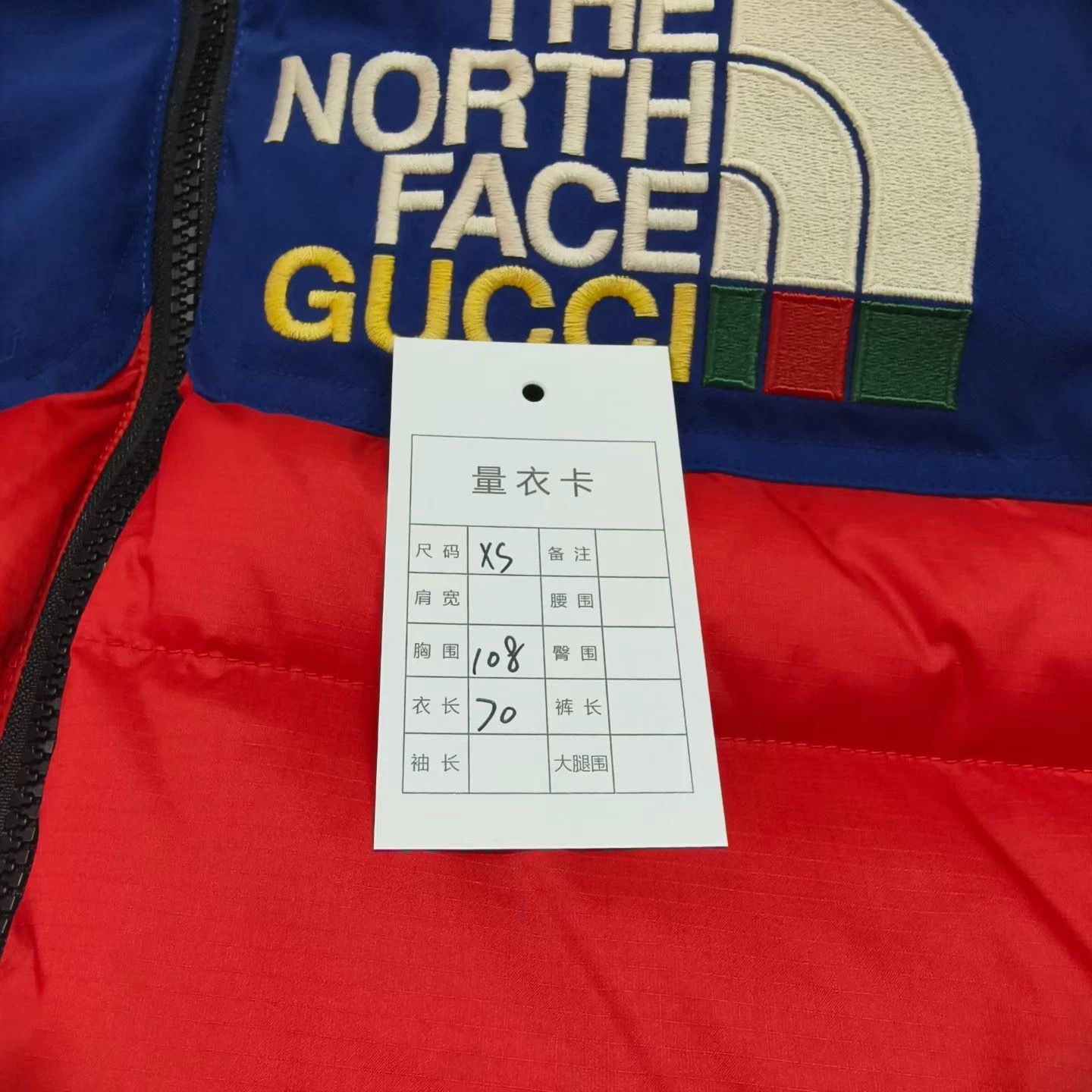 Gucci GUCCI x THE NORTH FACE Colorblock Down Jacket Size XS / US 0-2 / IT 36-38 - 6 Thumbnail