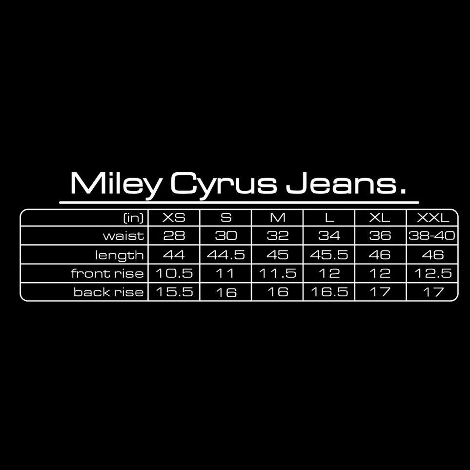 The GV Gallery The GV Gallery Miley Cyrus Jeans Size US 34 / EU 50 - 3 Thumbnail