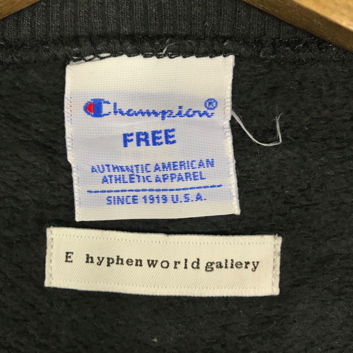 Vintage Champion E Hyphen World Gallery Spell Out Pullover