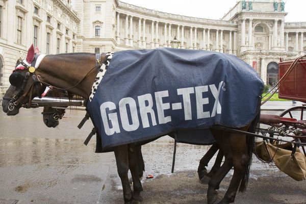 "Guaranteed to Keep You Dry": A Brief Look at GORE-TEX