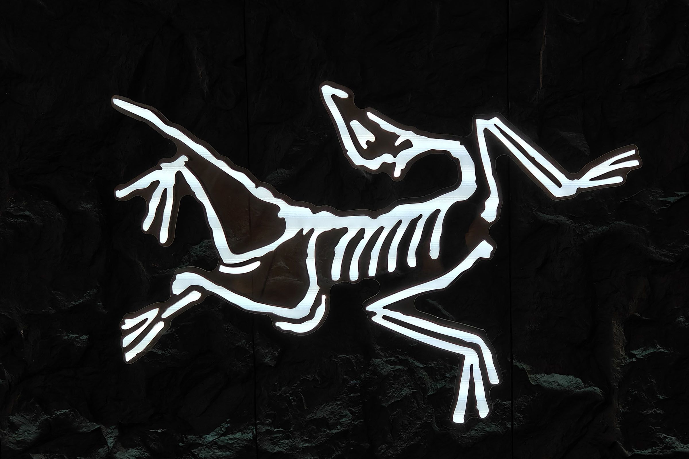 A Guide to Arc’teryx: One Fossil, Many Forms