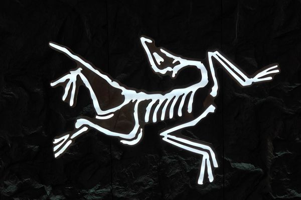 A Guide to Arc’teryx: One Fossil, Many Forms