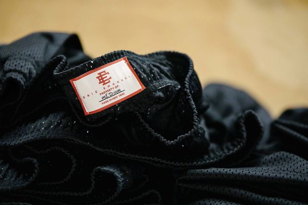 Beginner's Guide to Eric Emanuel