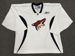 Arizona Coyotes Vintage Jersey Blank Shirt Old Logo NHL SGA PHX State  Outline
