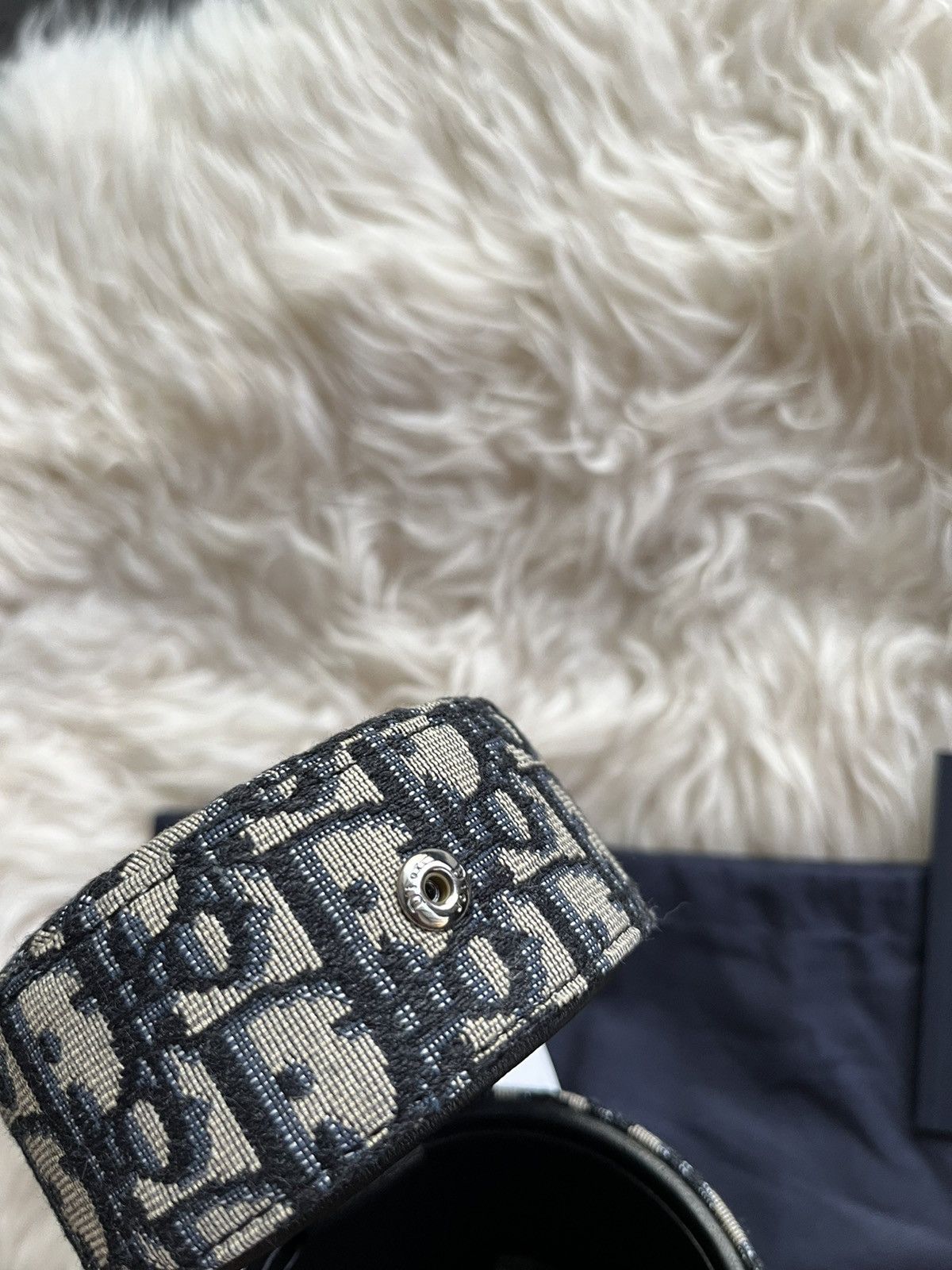 Dior Rare Brand New Limited Edition Oblique Roller Saddle Bag Size ONE SIZE - 19 Thumbnail