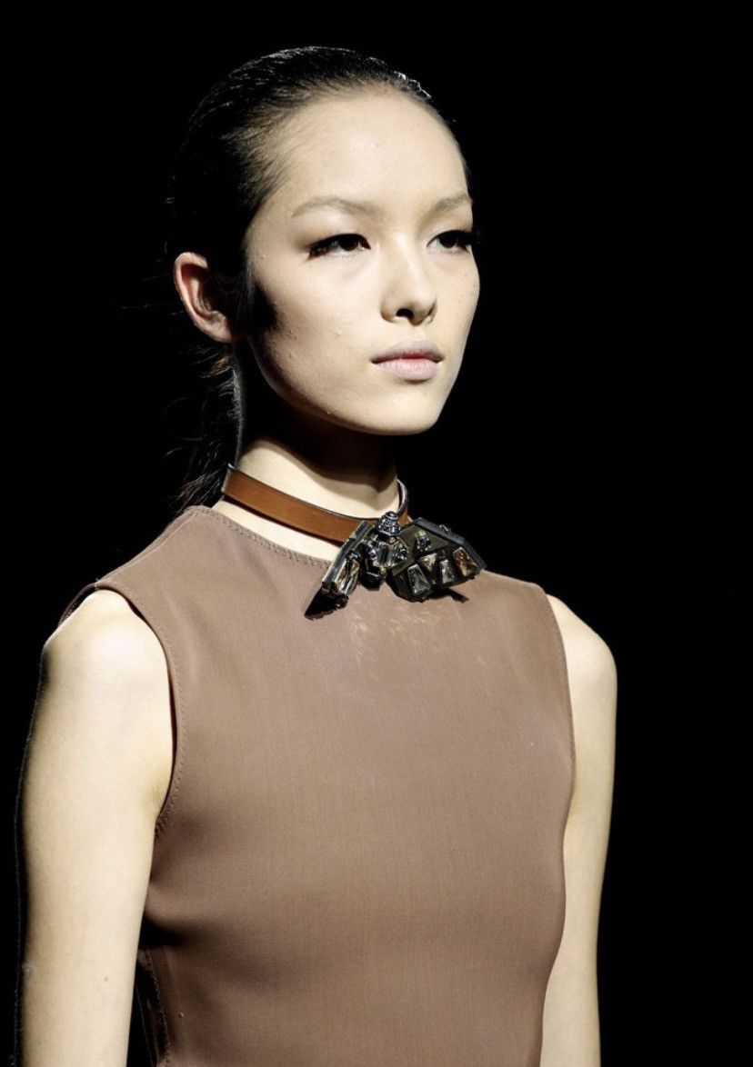 SS11 Runway Butterfly Choker By Alber Elbaz