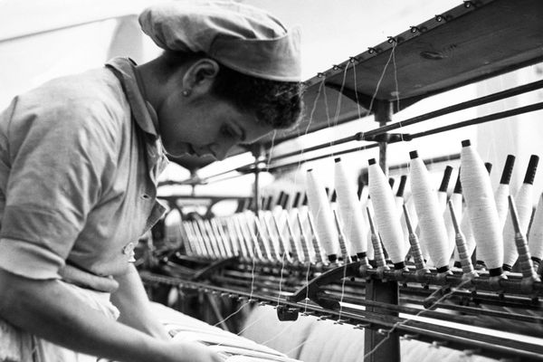 Know Your Clothes: What is Ringspun Cotton?