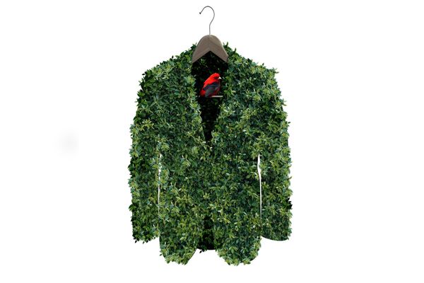 What Is Sustainable Fashion: Sustainable (and Stylish) Fashion Brands 